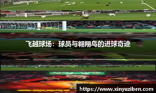 飞越球场：球员与翱翔鸟的进球奇迹